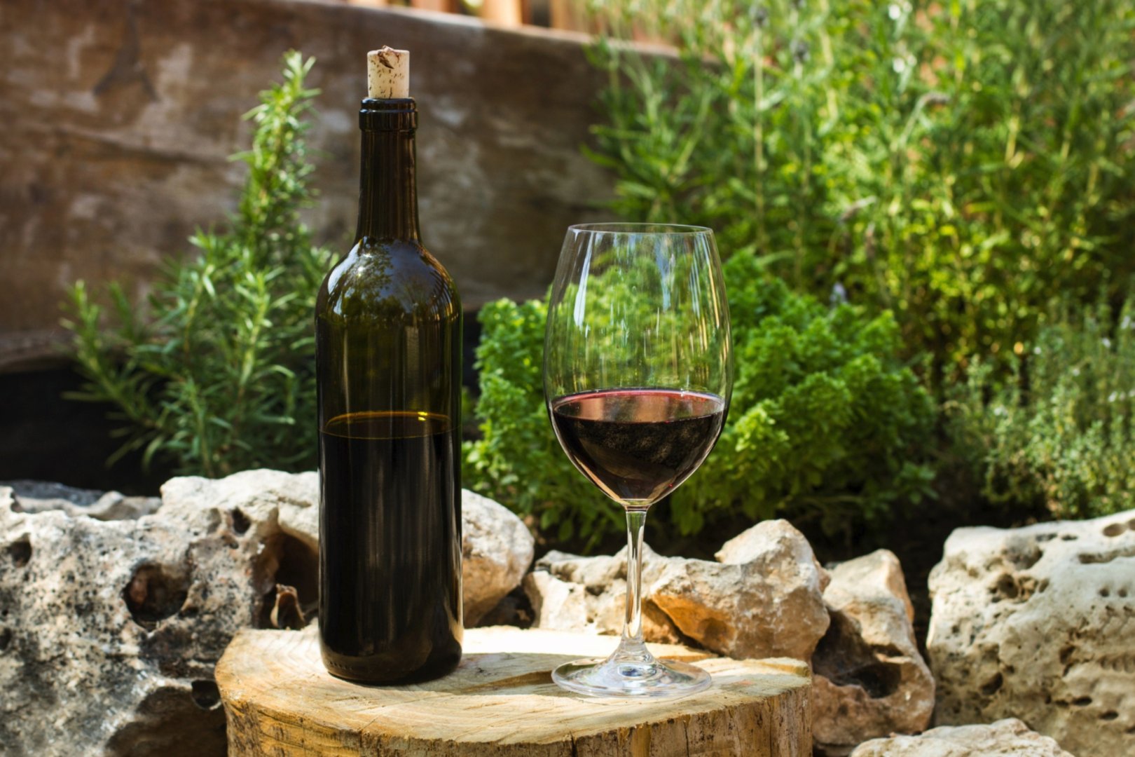 Vinogradi Vipavske doline