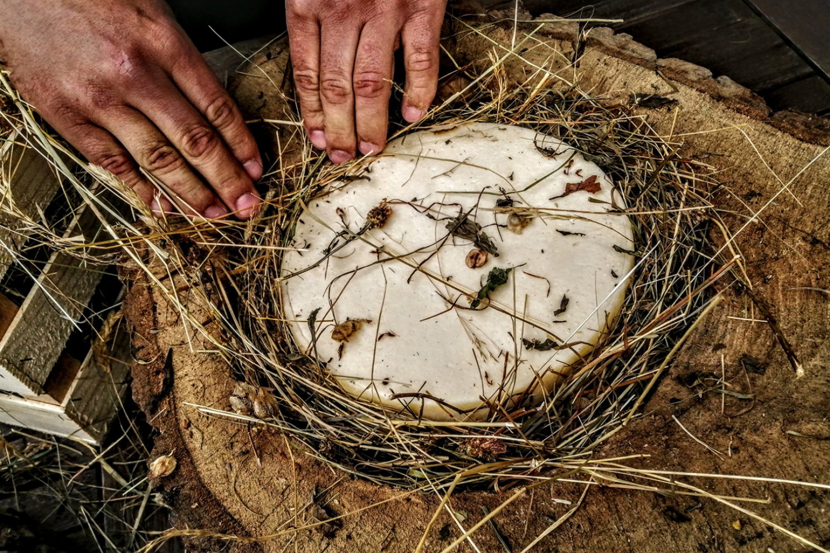 Butična sirarna Golden Ring Cheese