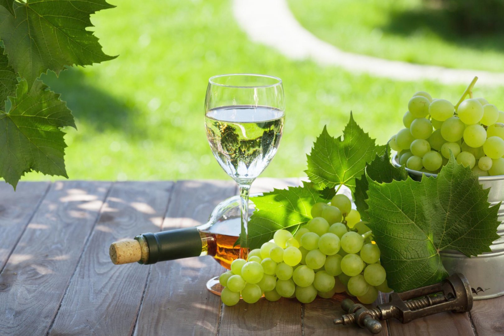 Festival vina Zel&egrave;n 2023