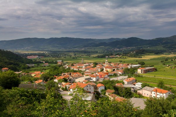 Vrhpolje