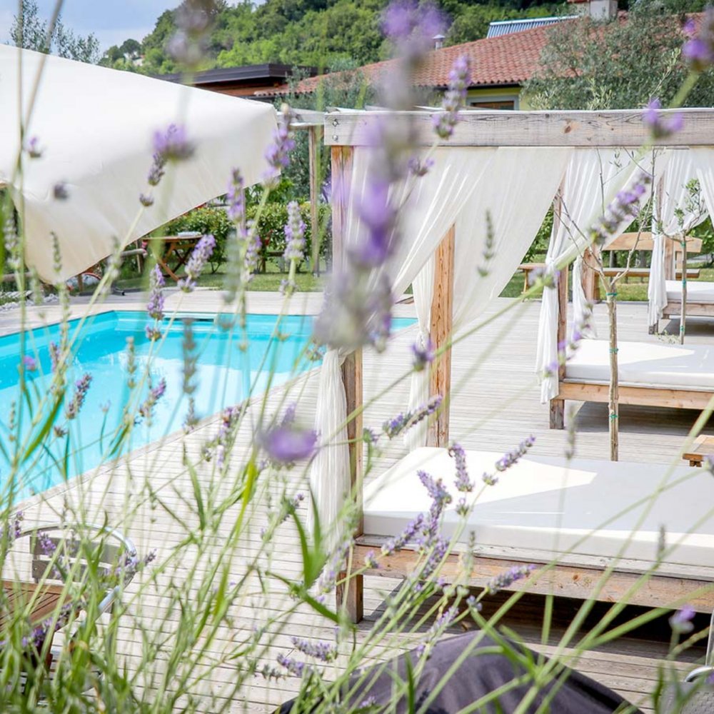 Čebron Family Estate